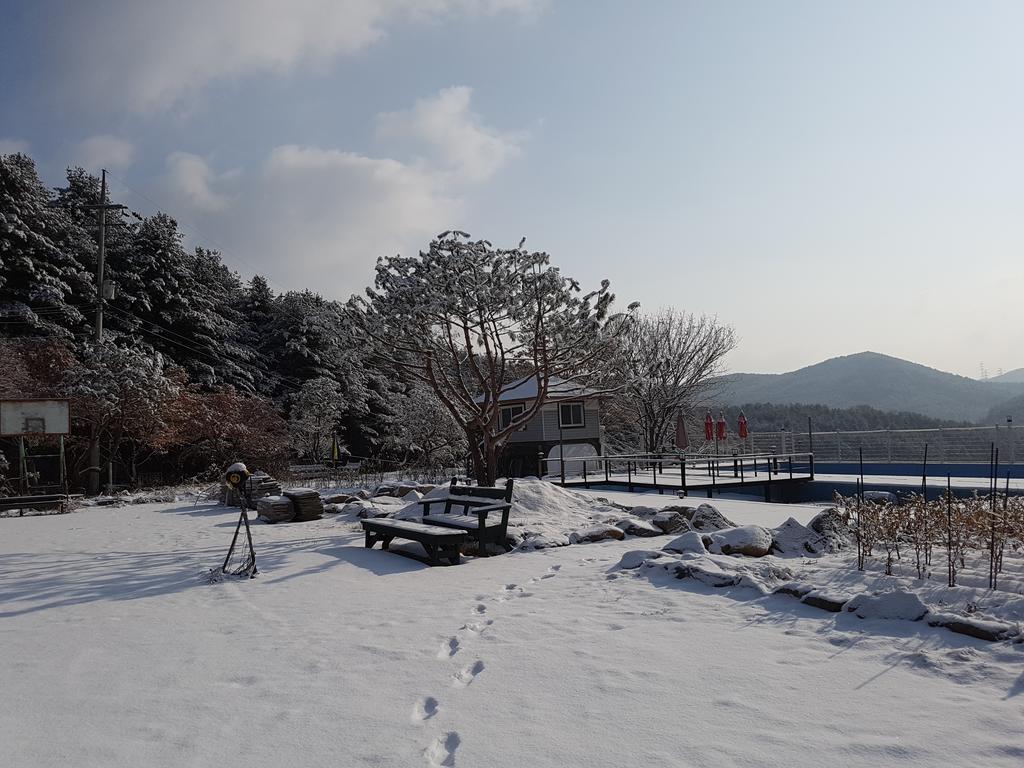 Bluesky Pension Pchočchon Exteriér fotografie